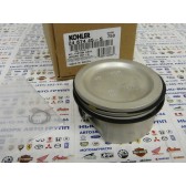 24 874 45-S PISTON W/RINGS (STYLE A)(.50)