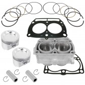 CYLINDER AND PISTON KIT W/GASKET