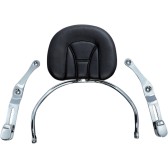 THE REVOLUTION DRIVER BACKREST