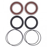 BEARING KIT WHEEL RR YAM