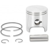 PISTON ASSY, POLARIS STD