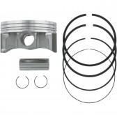 PISTON ASSY PLAT S/D .5MM