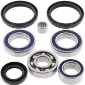 MSE WHL DIFF BRG KIT,A.C.