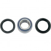 WHEEL BEARING & SEAL KIT
