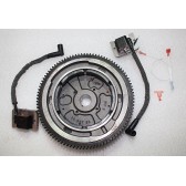 IGNITION MODULE CONVERSION KIT