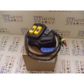 LH HOUSING SWITCH