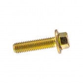 SCREW,CAP-HFH M8X1.25X30 CL8.8  Z&Y