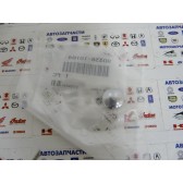 PLUG(42X)