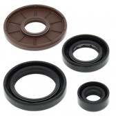 ENGINE OIL SEAL SET