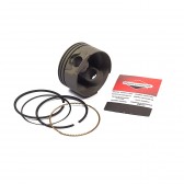PISTON ASSEMBLY-020 BS-799064