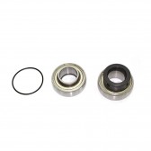 SPI, CHAIN CASE BEARING KIT