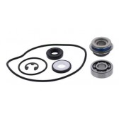 WATER PUMP REBUILD KIT